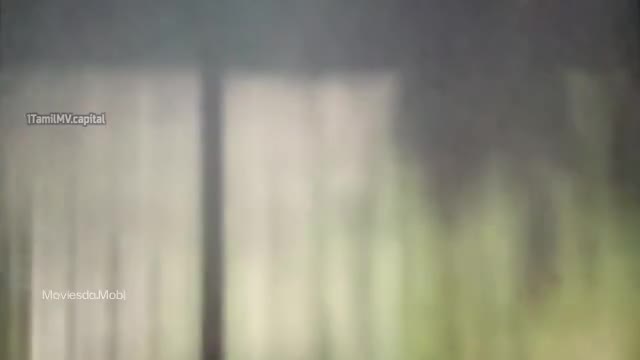Dorothy 2026 HQ PreDVD 360p HD.mp4