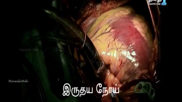Govindha Govindha 2024 HD.mp4